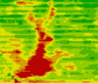 Yield Map
